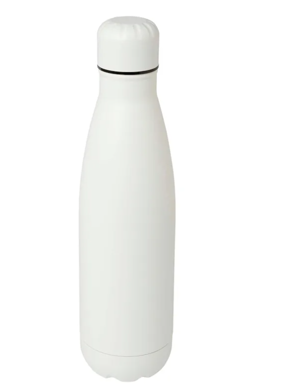 Stainless Steel Bottle