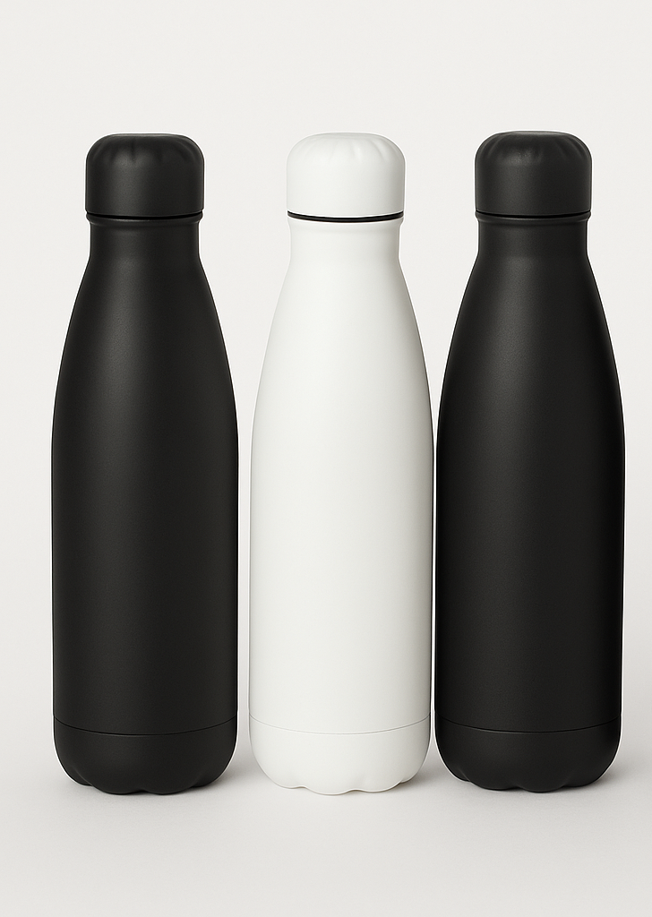 Stainless Steel Bottle